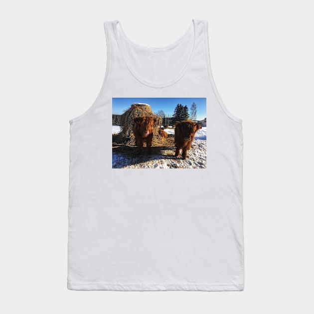 Scottish Highland Cattle Calves 1933 Tank Top by SaarelaHighland